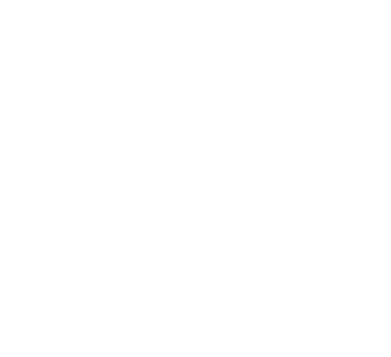 ArcViz